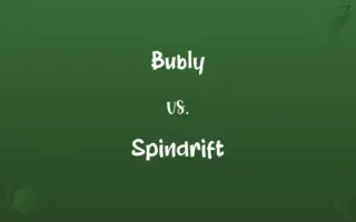 Bubly vs. Spindrift