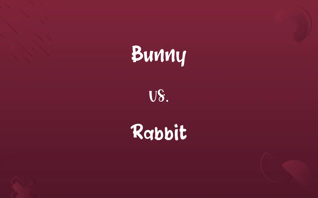 Bunny vs. Rabbit