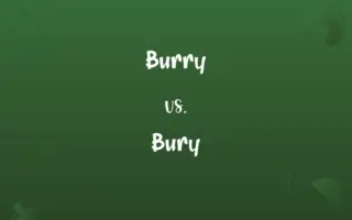 Burry vs. Bury