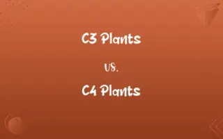 C3 Plants vs. C4 Plants