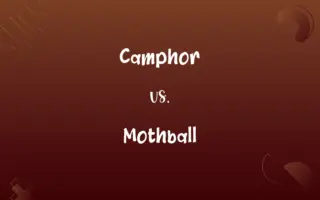 Camphor vs. Mothball