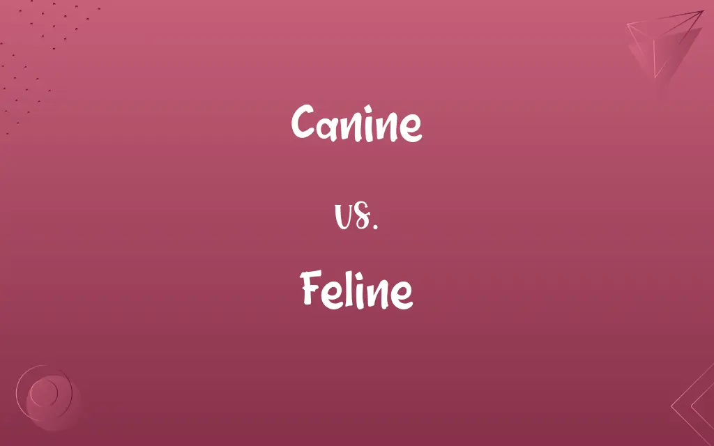 Canine vs. Feline