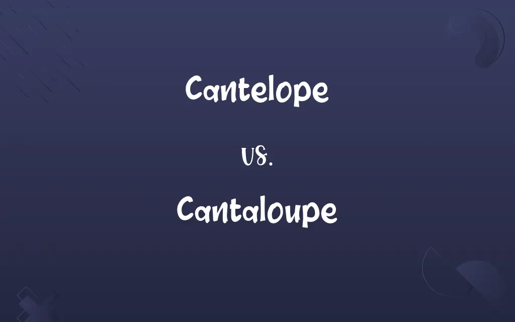 Cantelope vs. Cantaloupe
