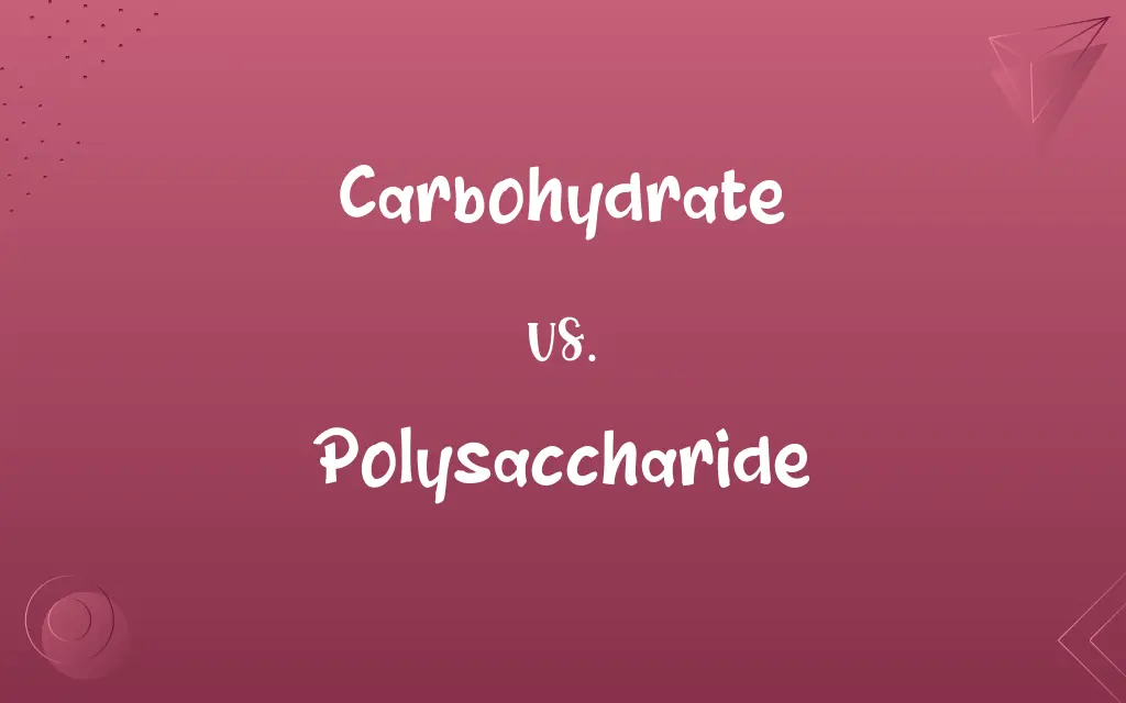 Carbohydrate vs. Polysaccharide