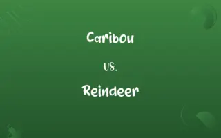 Caribou vs. Reindeer