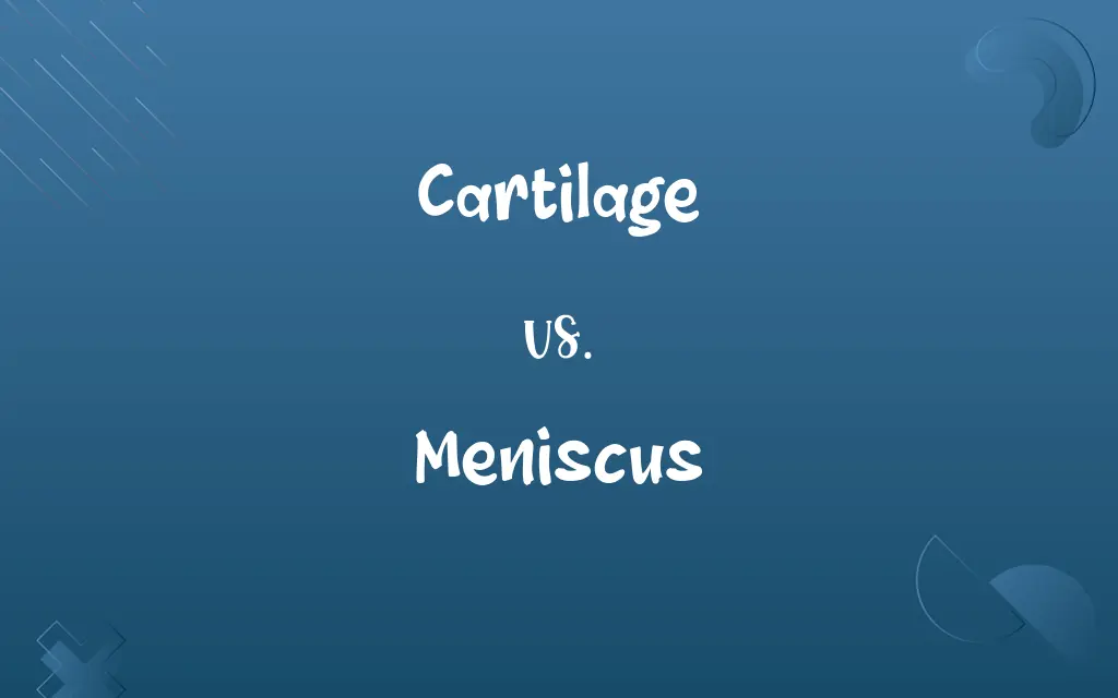 Cartilage vs. Meniscus