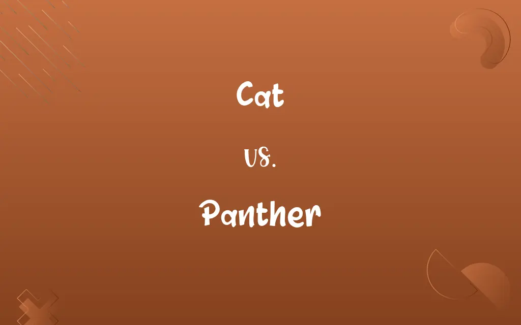 Cat vs. Panther