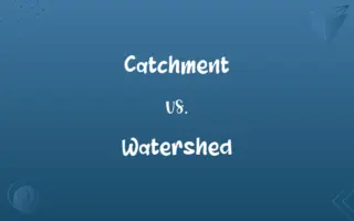 Catchment vs. Watershed