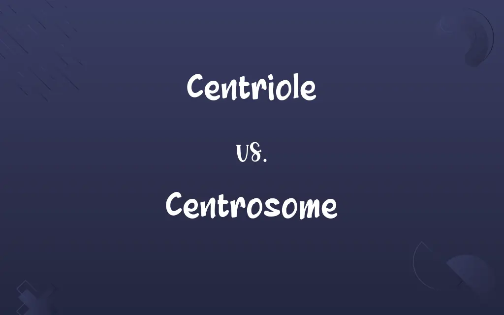 Centriole vs. Centrosome