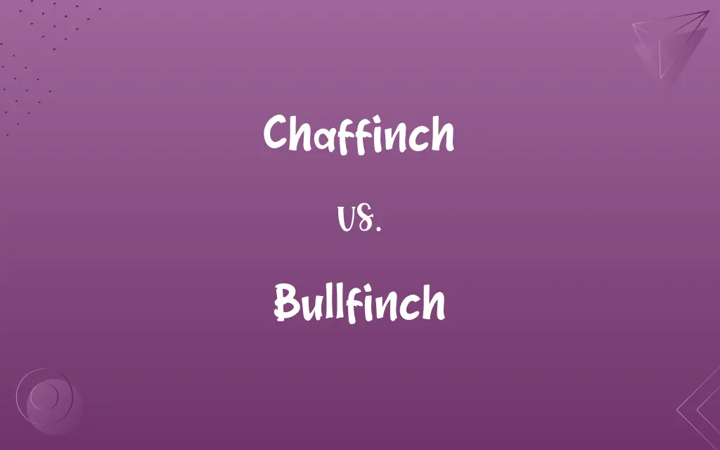 Chaffinch vs. Bullfinch