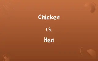 Chicken vs. Hen