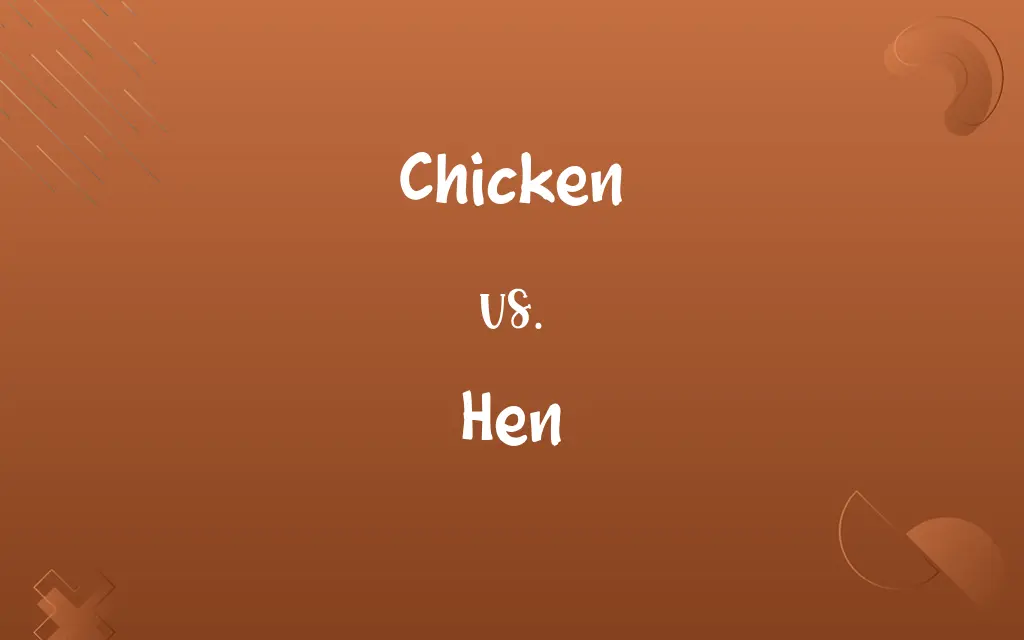 Chicken vs. Hen