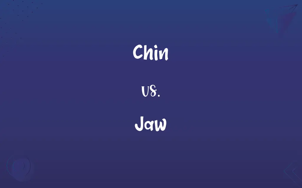 Chin vs. Jaw