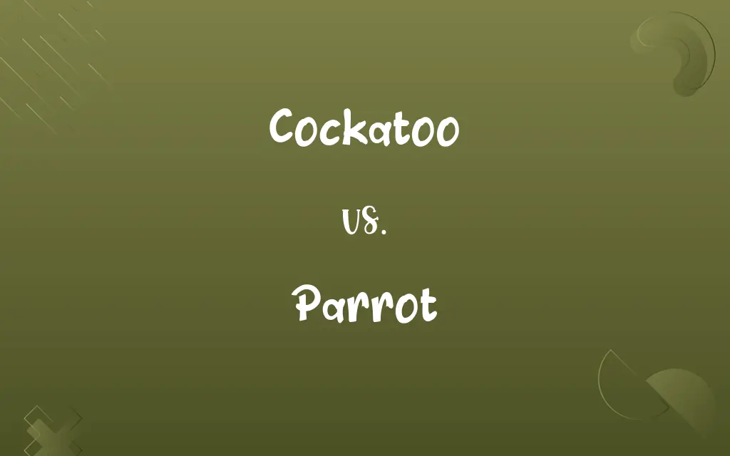 Cockatoo vs. Parrot