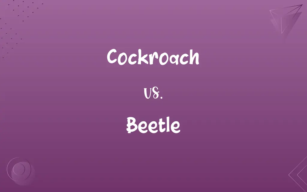 Cockroach vs. Beetle