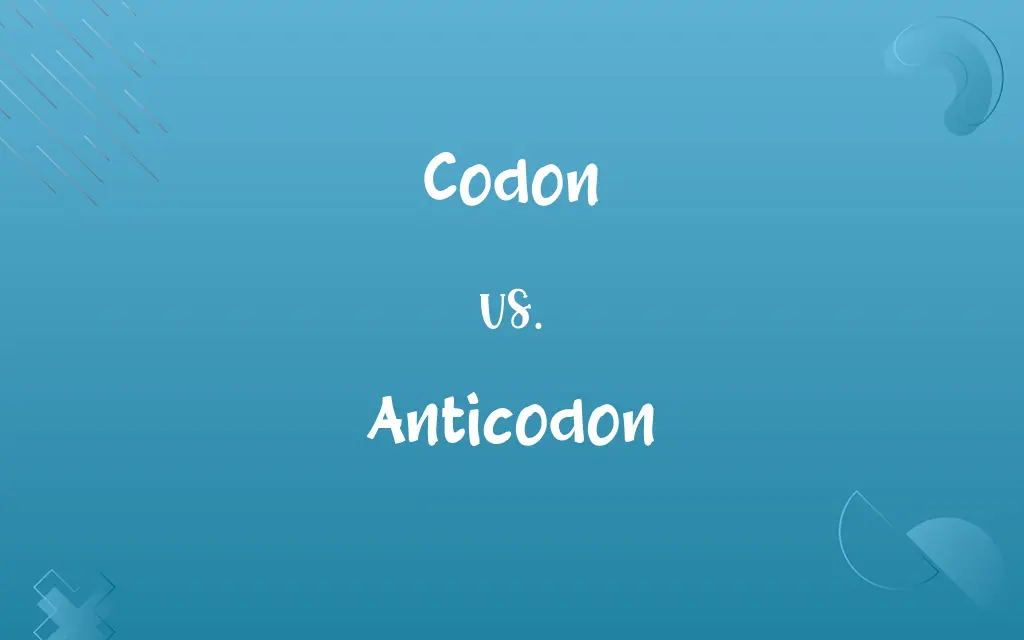 Codon vs. Anticodon
