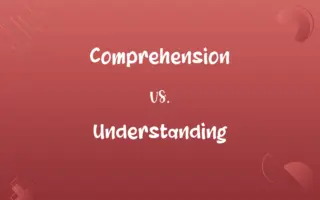 Comprehension vs. Understanding