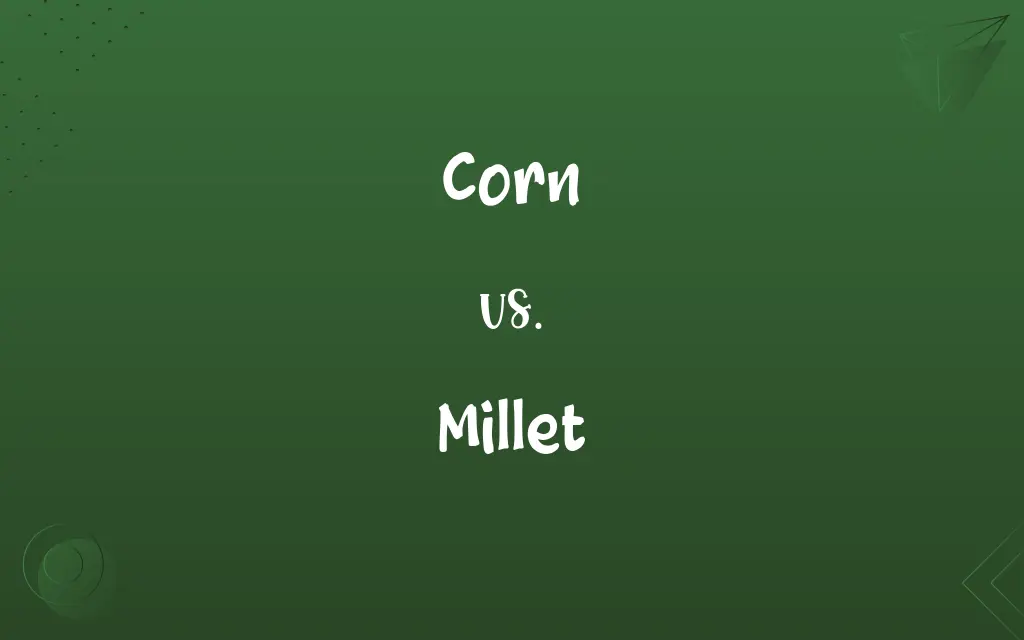 Corn vs. Millet