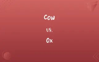 Cow vs. Ox