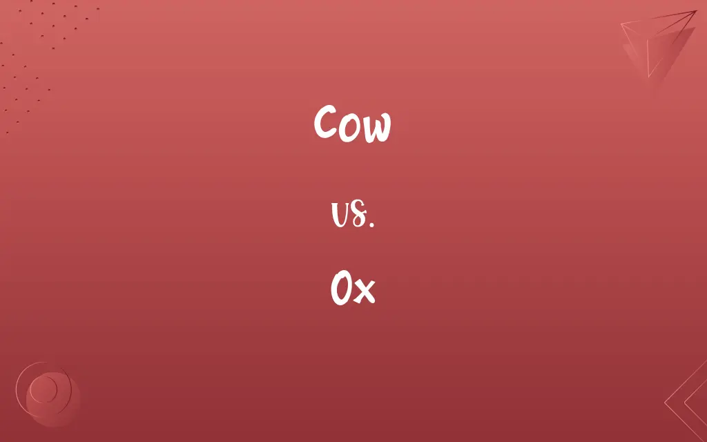 Cow vs. Ox