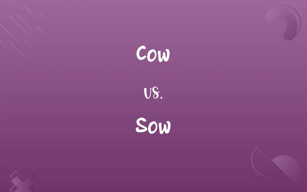 Cow vs. Sow