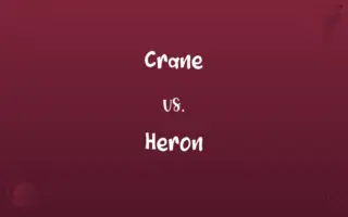 Crane vs. Heron