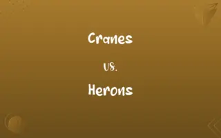 Cranes vs. Herons