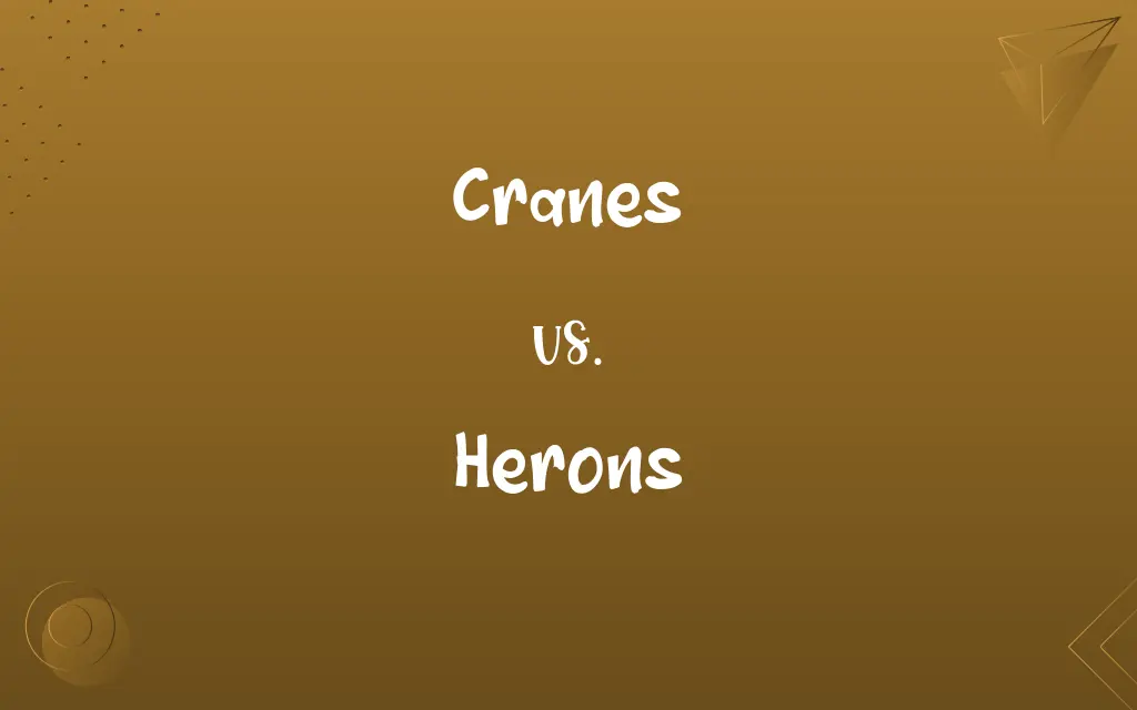 Cranes vs. Herons