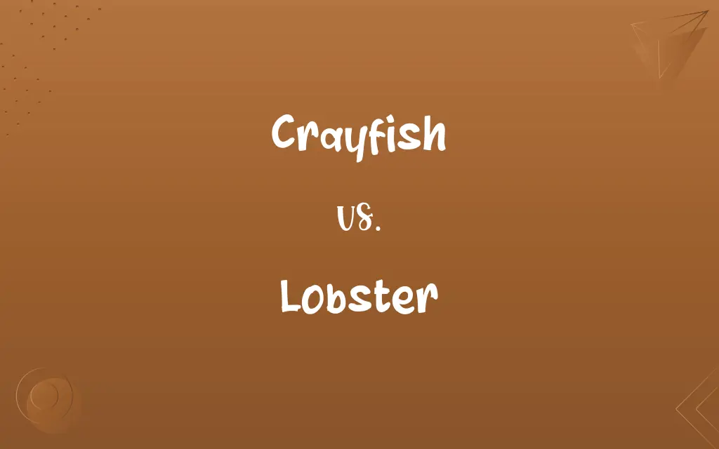 Crayfish vs. Lobster