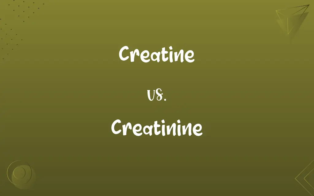 Creatine vs. Creatinine