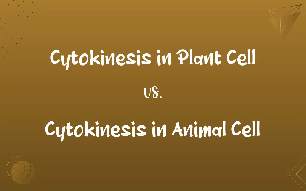Cytokinesis in Plant Cell vs. Cytokinesis in Animal Cell