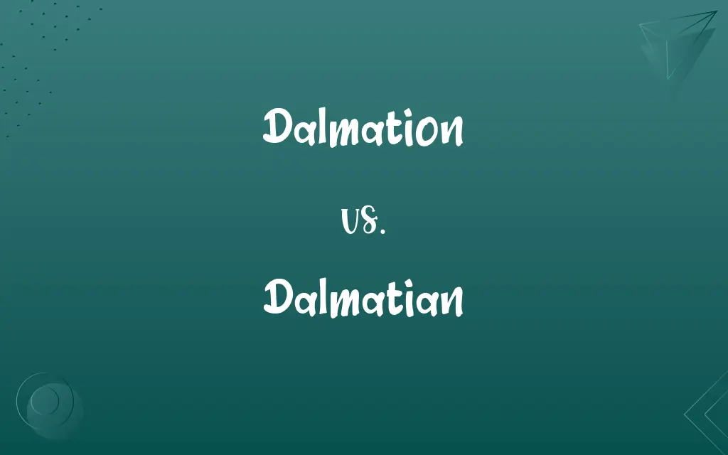 Dalmation vs. Dalmatian