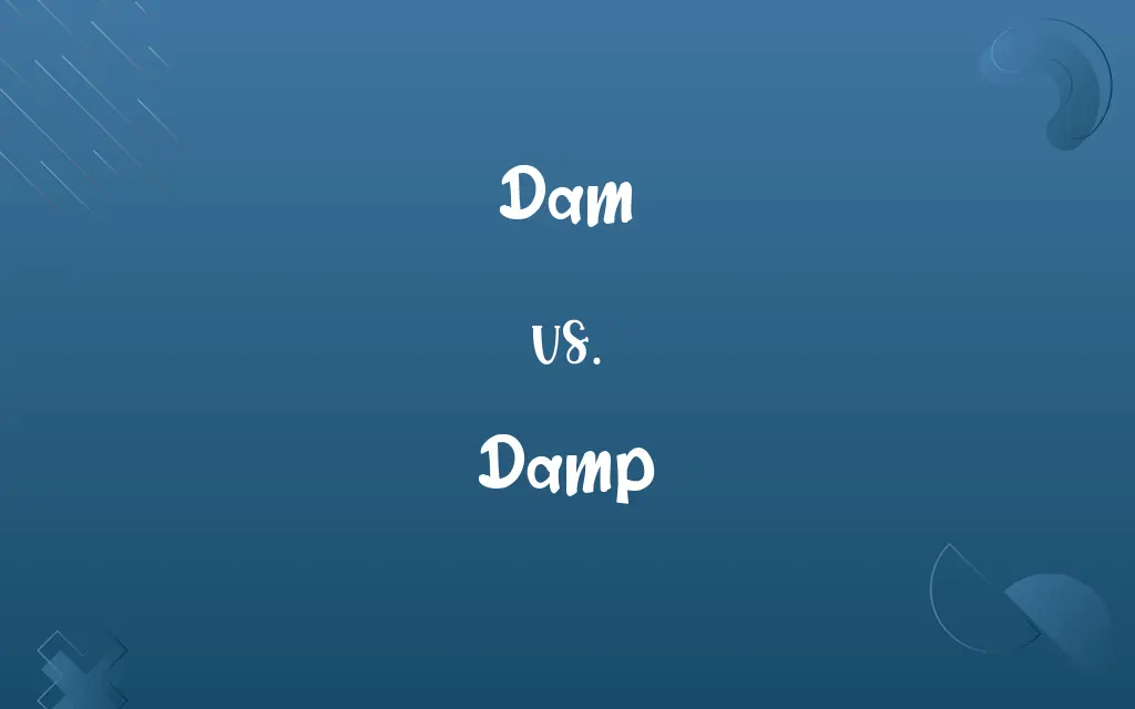 Dam vs. Damp