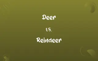 Deer vs. Reindeer