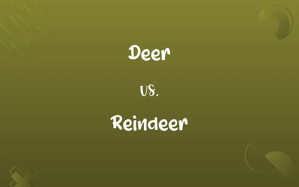 Deer vs. Reindeer