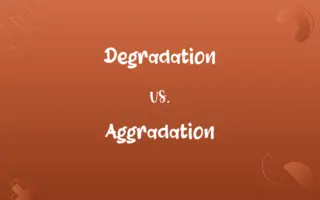 Degradation vs. Aggradation