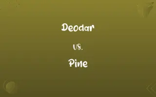 Deodar vs. Pine