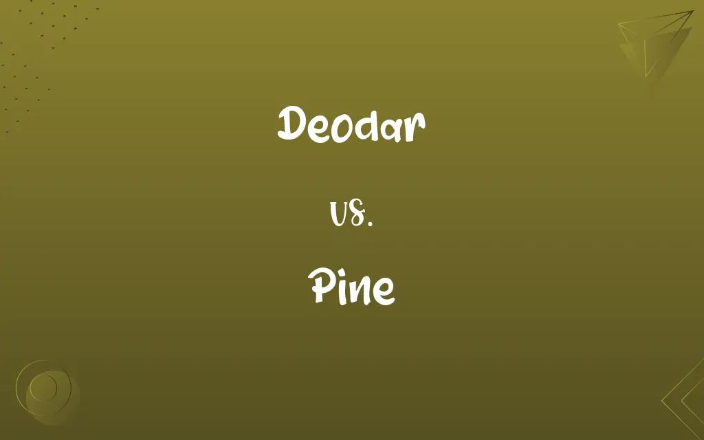 Deodar vs. Pine