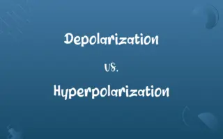 Depolarization vs. Hyperpolarization