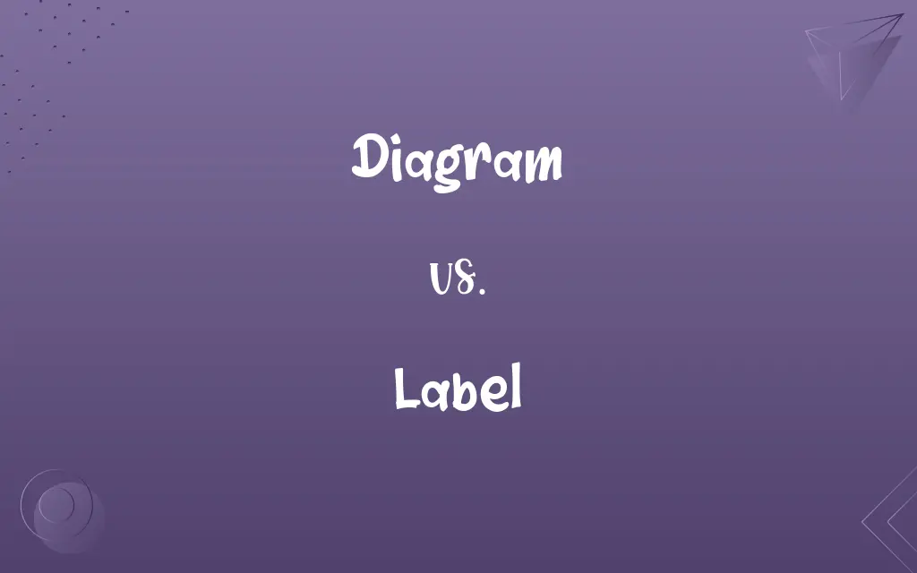 Diagram vs. Label: Know the Difference