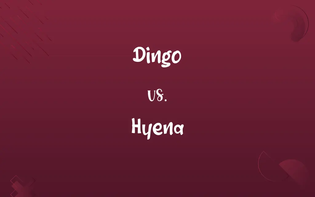 Dingo vs. Hyena