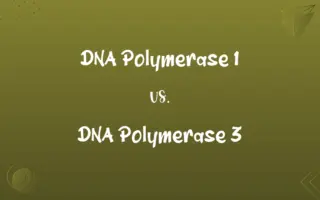 DNA Polymerase 1 vs. DNA Polymerase 3
