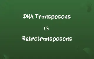 DNA Transposons vs. Retrotransposons