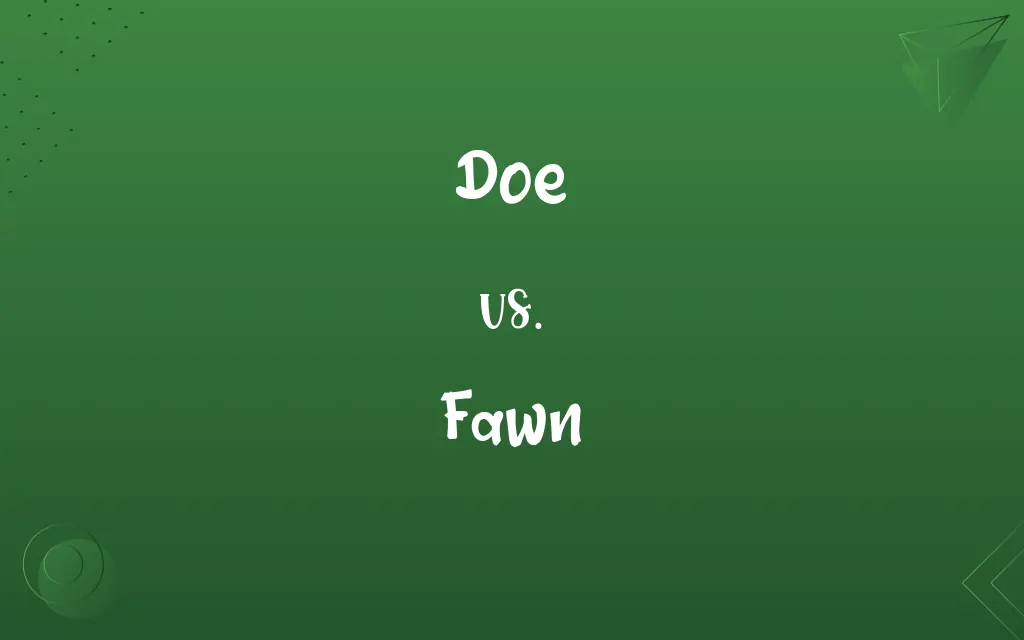 Doe vs. Fawn