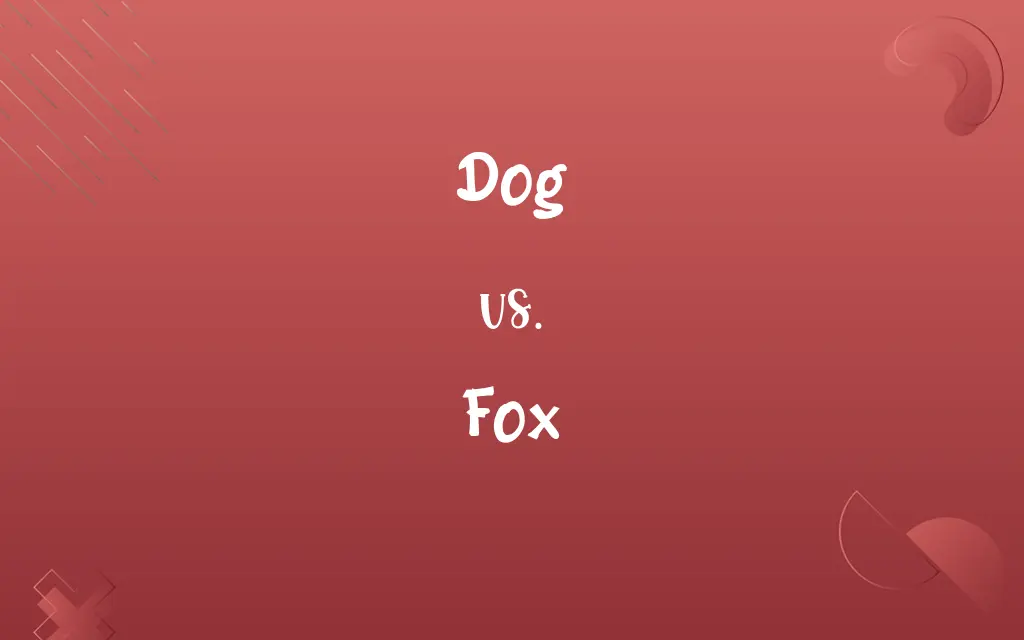 Dog vs. Fox