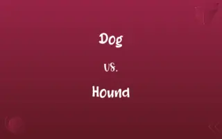 Dog vs. Hound