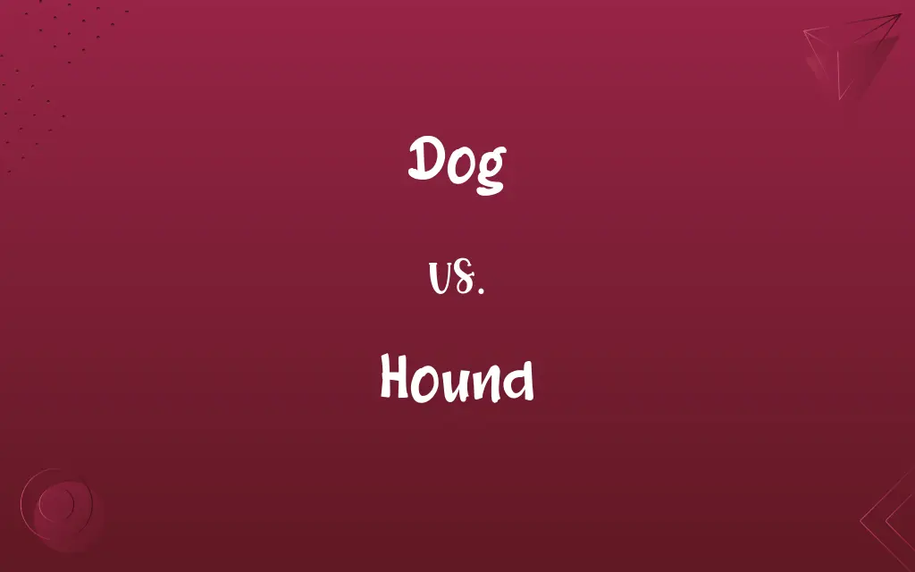 Dog vs. Hound