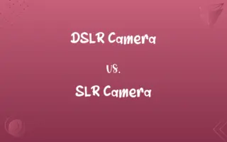 DSLR Camera vs. SLR Camera