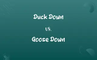 Duck Down vs. Goose Down