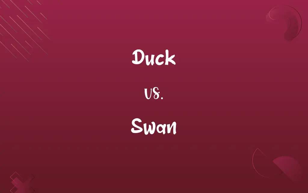 Duck vs. Swan